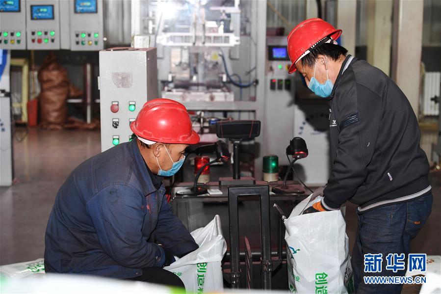 （抓好春耕備耕 穩住農業生產·圖文互動）（2）走向泥土是我們的終極夢想——一粒種子的自述