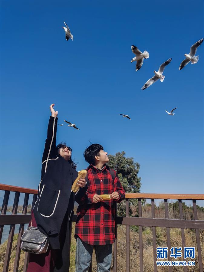 （一線(xiàn)抗疫群英譜·圖文互動(dòng)）（1）大學(xué)生志愿者譚藝西：在武漢，我和媽媽共戰(zhàn)“疫”