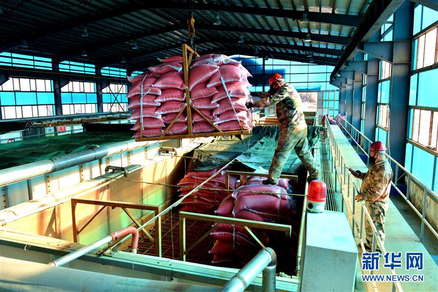 （在習(xí)近平新時(shí)代中國(guó)特色社會(huì)主義思想指引下——新時(shí)代新作為新篇章·習(xí)近平總書記關(guān)切事·圖文互動(dòng)）（6）希望的田野，希望的春天——各地農(nóng)業(yè)生產(chǎn)新動(dòng)態(tài)掃描