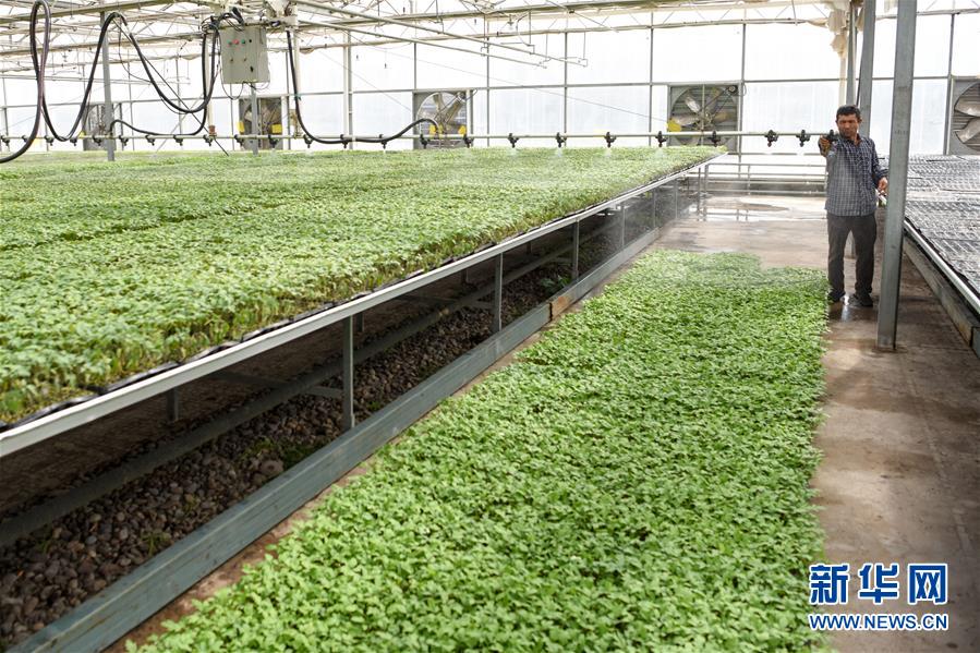 (決戰決勝脫貧攻堅·圖文互動)(3)決戰昆侖——新疆聚焦10個未摘帽縣展開深度貧困攻堅戰