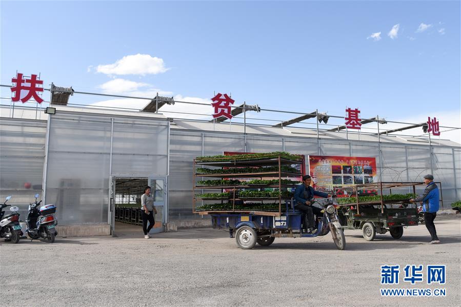 (決戰決勝脫貧攻堅·圖文互動)(9)決戰昆侖——新疆聚焦10個未摘帽縣展開深度貧困攻堅戰