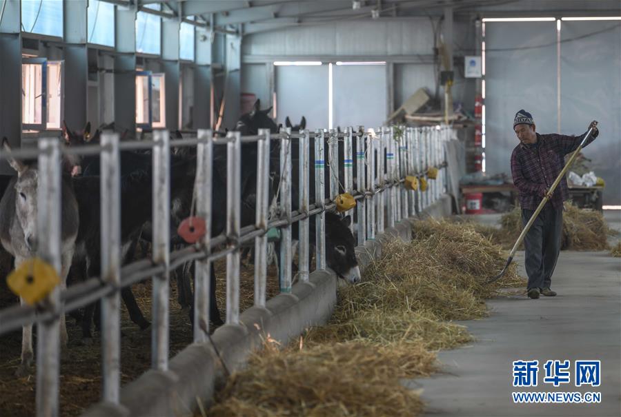 (決戰決勝脫貧攻堅·圖文互動)(12)決戰昆侖——新疆聚焦10個未摘帽縣展開深度貧困攻堅戰