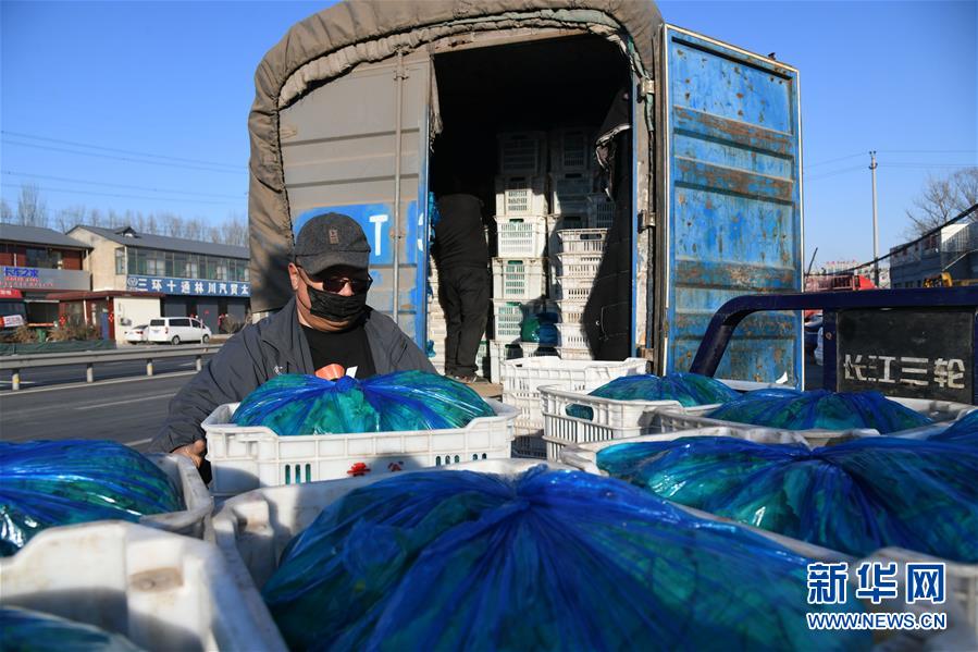 (在習近平新時代中國特色社會主義思想指引下——新時代新作為新篇章·習近平總書記關切事·圖文互動)(3)抗疫之下 保供無憂