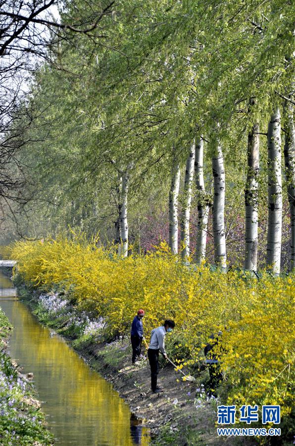 (新華全媒頭條·圖文互動)(4)永遠的夢想 永恒的追求——寫在北京世園會開幕一周年之際