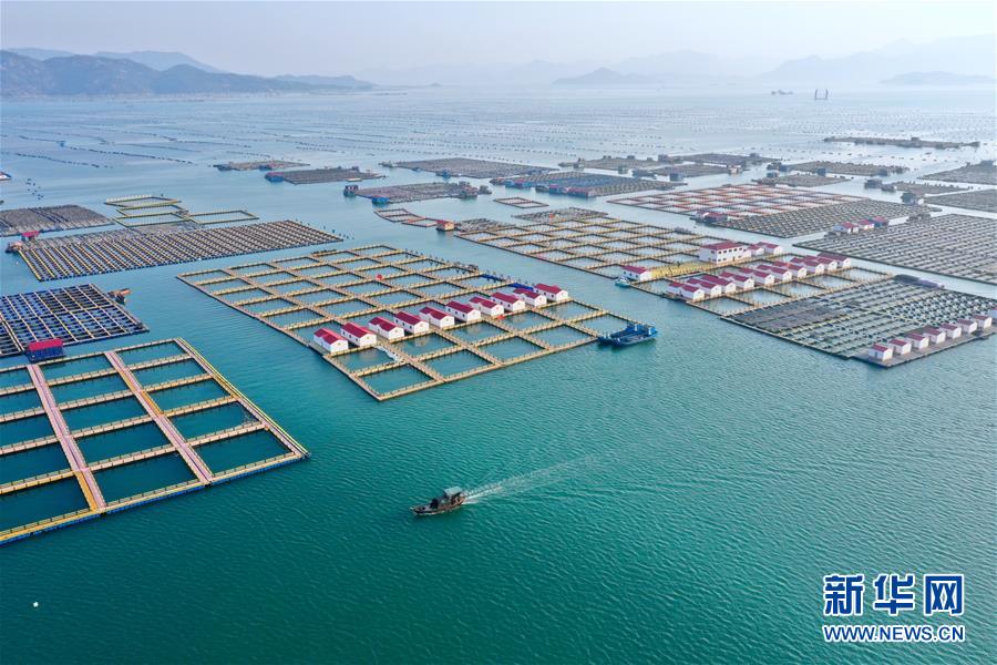 (新華全媒頭條·圖文互動)(10)永遠的夢想 永恒的追求——寫在北京世園會開幕一周年之際