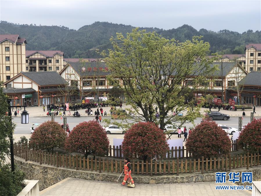 （圖文互動）（1）柏楊林的“樣板間”