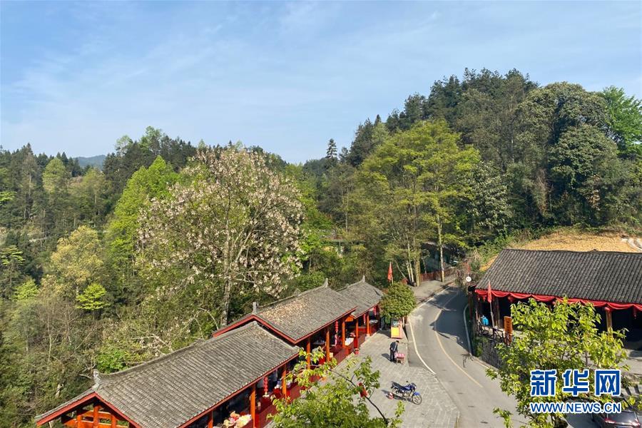 (決戰決勝脫貧攻堅·圖文互動)(1)深山苗寨的別樣春天——疫情下的十八洞村見聞