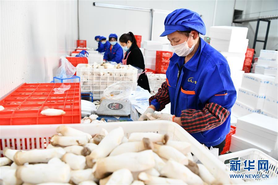 (決戰決勝脫貧攻堅·圖文互動)(2)補短板 促就業 穩增收——貴州向脫貧“硬骨頭”發起總攻