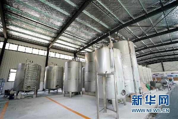 (決戰決勝脫貧攻堅·圖文互動)(5)西藏昌都“甜蜜”產業助脫貧