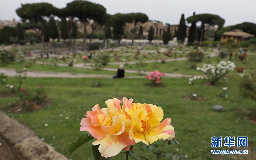 (國際疫情)(7)意大利將于6月初開放與申根區國家間人員流動