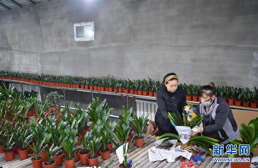 (決戰決勝脫貧攻堅·圖文互動)(11)長白山下唱新篇——吉林延邊州脫貧攻堅觀察