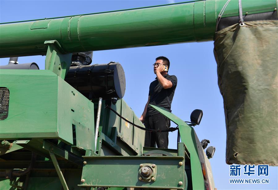 (關注三夏·圖文互動)(4)麥田“后浪”的農事新說