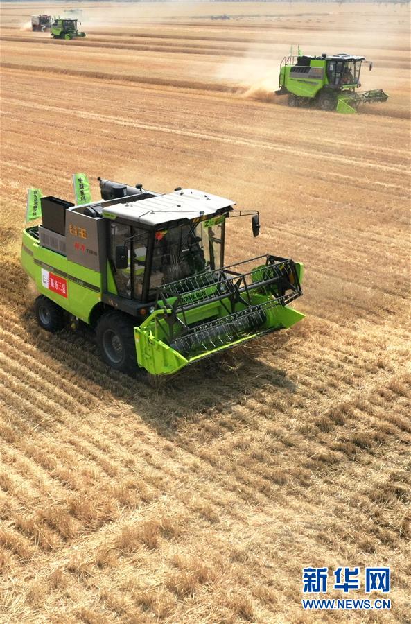 (在習(xí)近平新時(shí)代中國(guó)特色社會(huì)主義思想指引下——新時(shí)代新作為新篇章·習(xí)近平總書記關(guān)切事·圖文互動(dòng))(13)讓農(nóng)民挑上“金扁擔(dān)”——農(nóng)業(yè)現(xiàn)代化的生動(dòng)實(shí)踐掃描