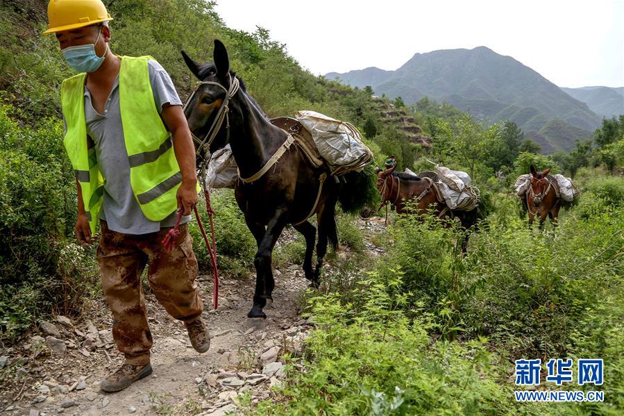 (圖文互動(dòng))(4)北京:治沙20載 逾854萬(wàn)畝林海拒風(fēng)沙