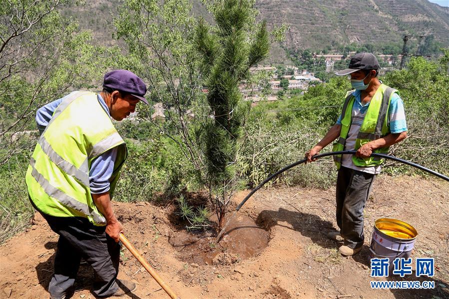 (圖文互動(dòng))(5)北京:治沙20載 逾854萬(wàn)畝林海拒風(fēng)沙