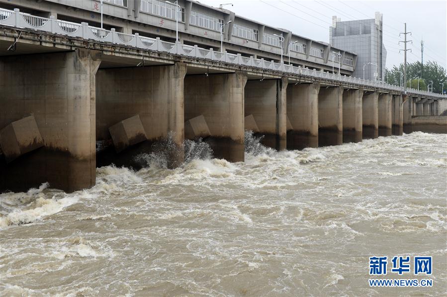 (圖文互動)(1)“以萬全準備防萬一發(fā)生”——安徽沿淮地區(qū)防汛備汛見聞