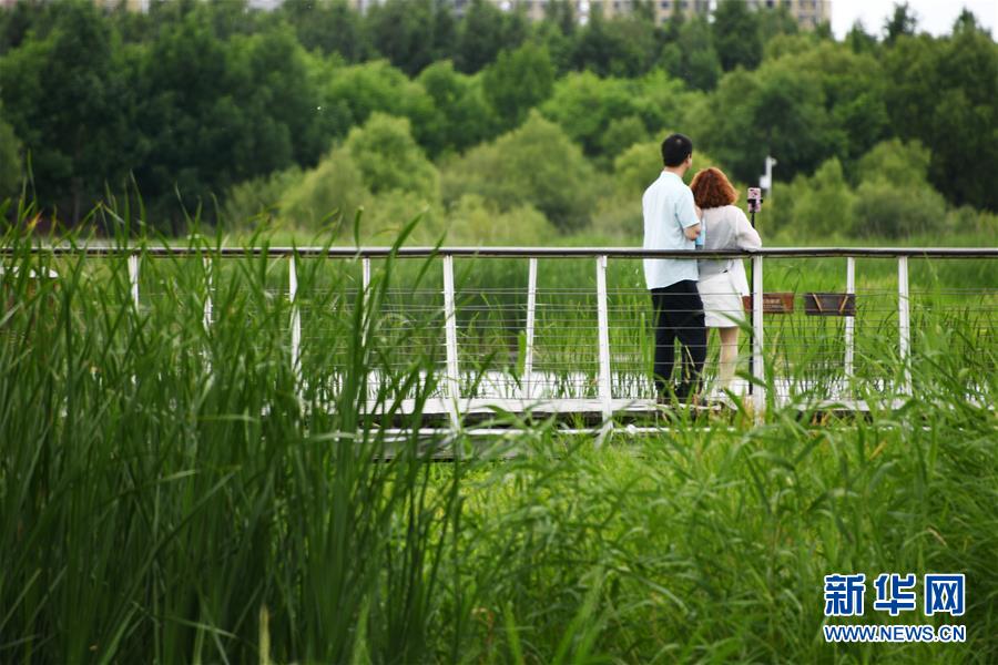 (社會(huì))(3)樂(lè)享端午假期