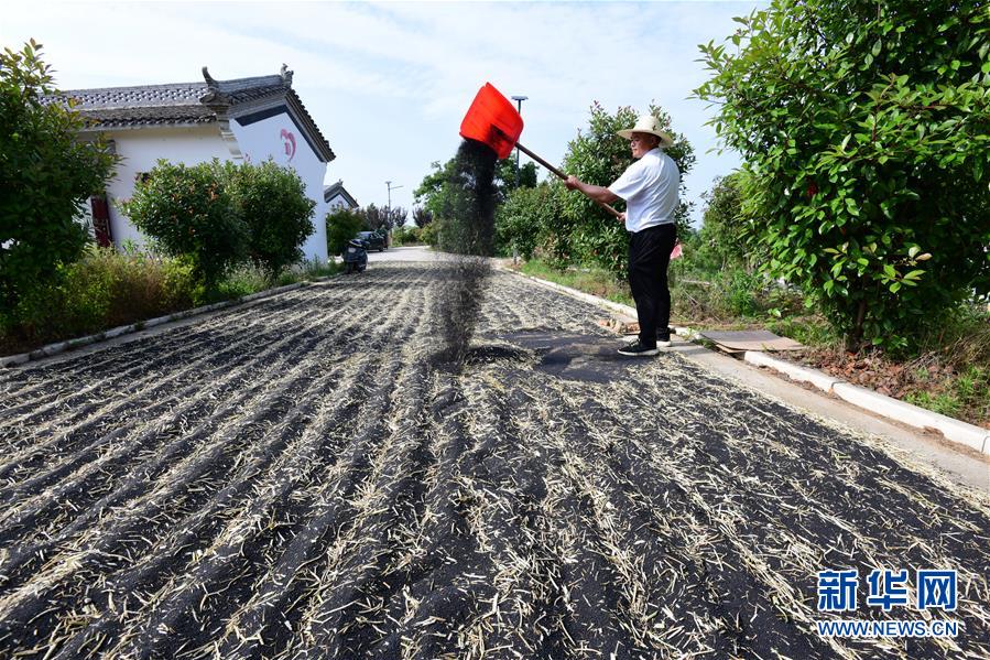 (決戰決勝脫貧攻堅·圖文互動)(1)貧困戶老楊的人生“三級跳”