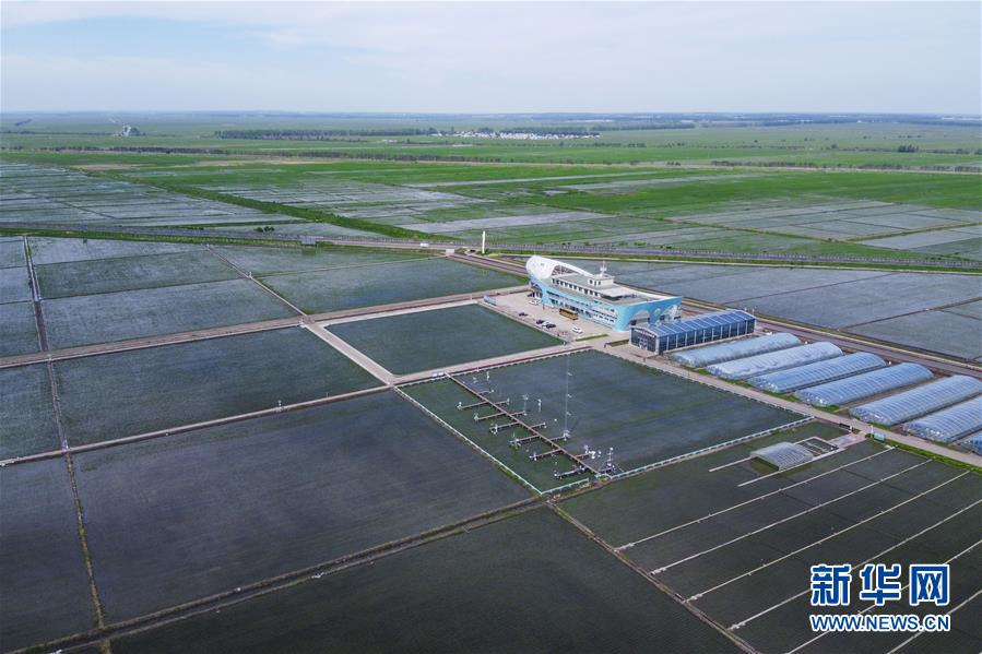 (走向我們的小康生活·圖文互動)(3)端牢“中國飯碗” 播種綠色小康