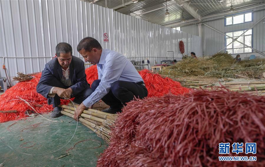 (決戰決勝脫貧攻堅·圖文互動)(6)“掃”出脫貧路:南疆深貧村巧變“創業村”