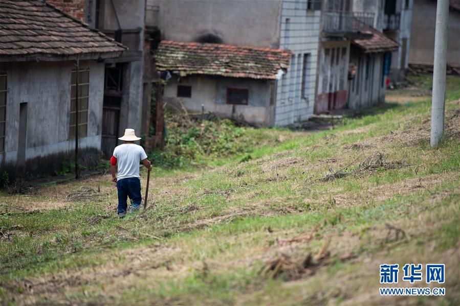(防汛抗洪·圖文互動)(3)鏖戰南洞庭