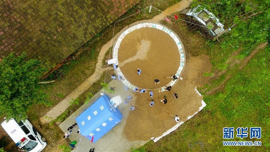 (防汛抗洪·圖文互動)(2)“險情不可怕,可怕的是不能及時發(fā)現(xiàn)險情”——洞庭湖巡堤查險現(xiàn)場直擊