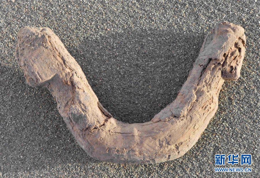 (圖文互動(dòng))(2)新疆尉犁縣克亞克庫(kù)都克烽燧遺址出土700多件唐代紙文書和木牘