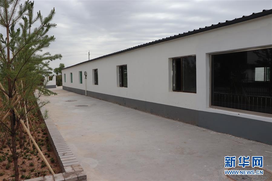 （鄉村振興·圖文互動）（2）內蒙古伊金霍洛旗：自家生豬基地養 環境好來收入旺