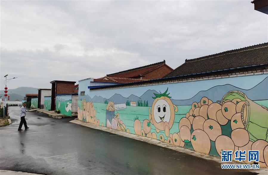 （決戰決勝脫貧攻堅·圖文互動）（1）西紅柿小鎮的“致富經”