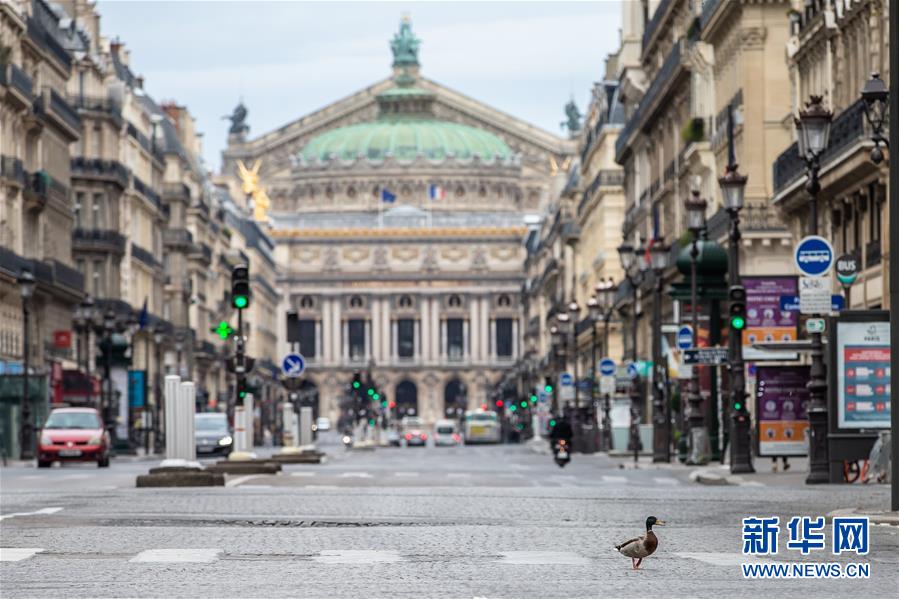 (國(guó)際·圖文互動(dòng))(4)特稿:穿越寒暑 無問西東——寫在新冠疫情構(gòu)成“國(guó)際關(guān)注的突發(fā)公共衛(wèi)生事件”半年之際
