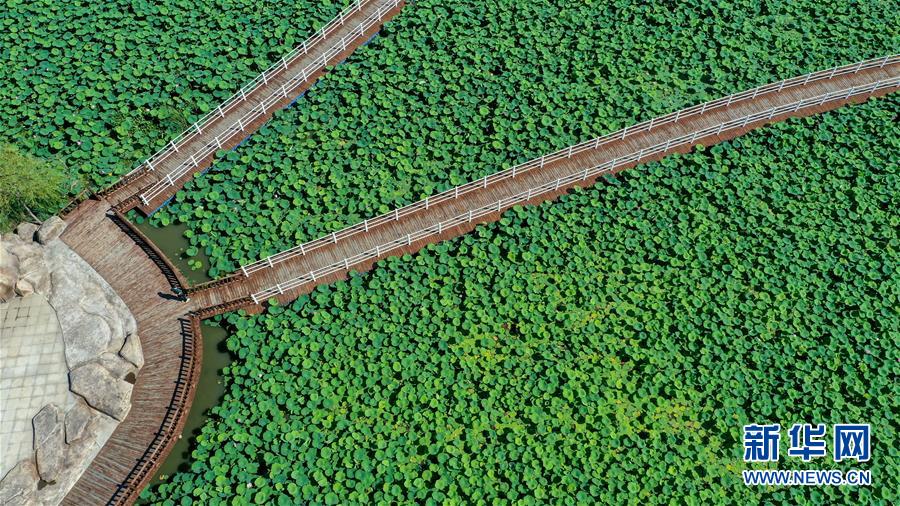 （在習近平新時代中國特色社會主義思想指引下——新時代新作為新篇章·習近平總書記關切事·圖文互動）（9）綠色映底蘊，山水見初心——生態優先、綠色發展持續造福群眾美好生活