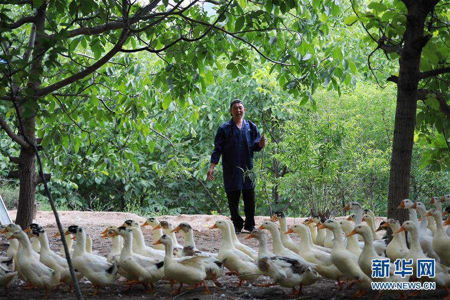 (新華全媒頭條·圖文互動)(8)穩中求進 奮勇前進——從中央政治局會議看中國經濟走勢