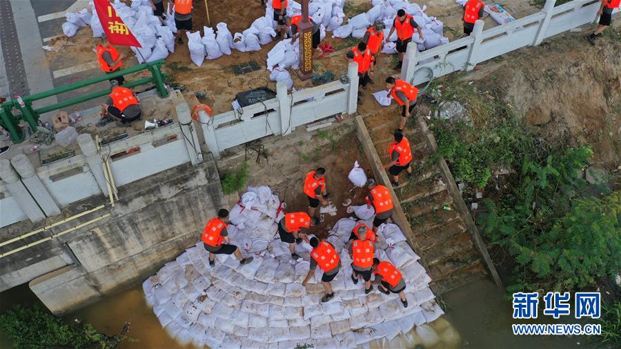(防汛抗洪·一線人物·圖文互動)(1)集智戰洪魔——陸軍某舟橋旅重舟一營抗洪記事