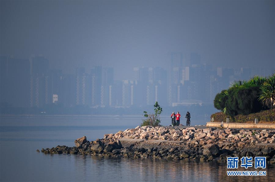 (新華全媒頭條·圖文互動)(10)鯤鵬展翅九萬里——深圳奮力跑好建設中國特色社會主義先行示范區“第一程”