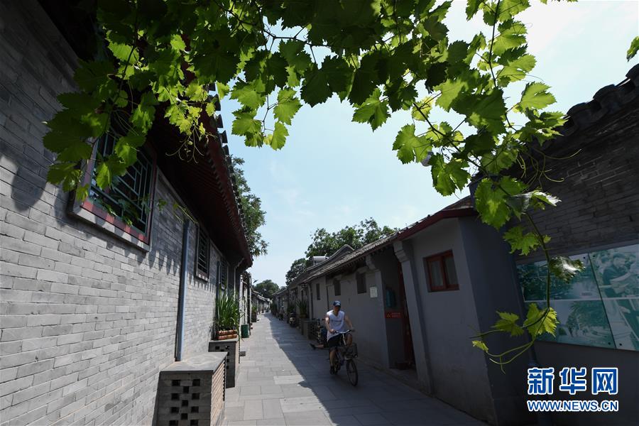 (走向我們的小康生活·圖文互動)(1)小橋、流水、書香、人家——老北京胡同里的恬靜棲居