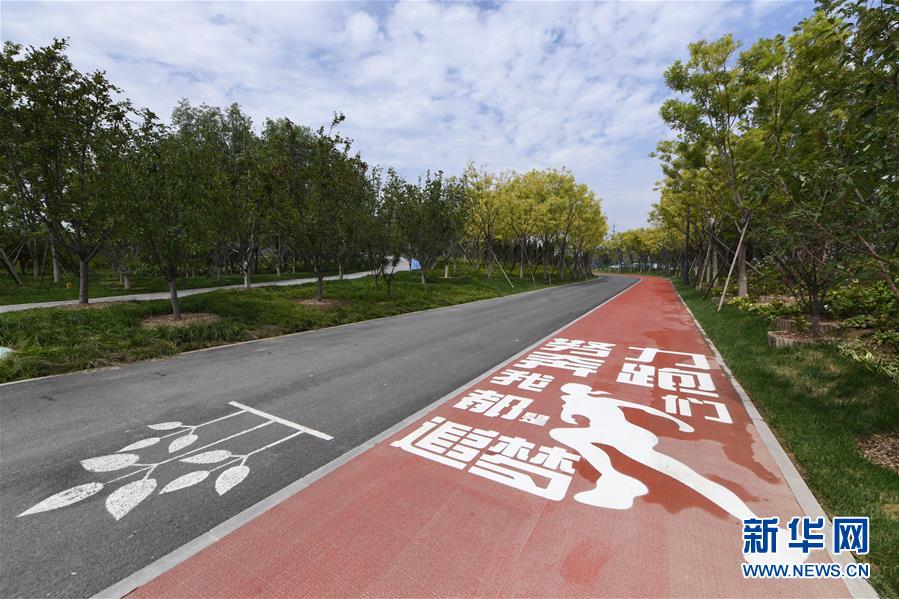 (新華全媒頭條·圖文互動)(3)“繡”出古都新生活——城市精細化治理的北京探索