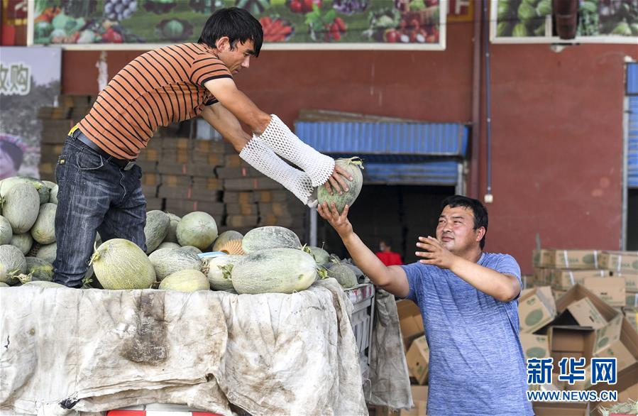 （決戰決勝脫貧攻堅·圖文互動）（2）“窮”鄉富戶的販瓜生意經