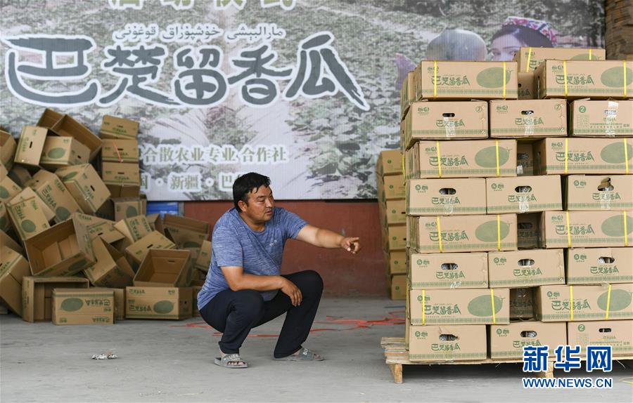 （決戰決勝脫貧攻堅·圖文互動）（3）“窮”鄉富戶的販瓜生意經