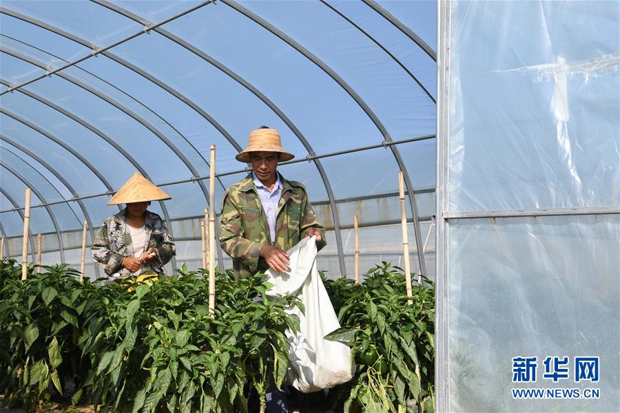 (走向我們的小康生活·圖文互動)(1)“荒涼”土地掘金記——甘肅旱作農業(yè)發(fā)展“變奏曲”