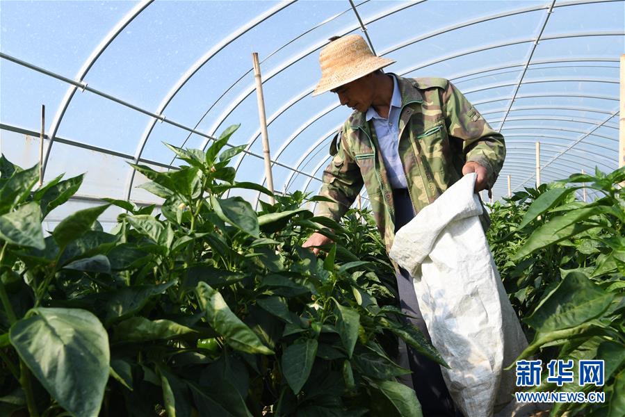 (走向我們的小康生活·圖文互動)(2)“荒涼”土地掘金記——甘肅旱作農業(yè)發(fā)展“變奏曲”