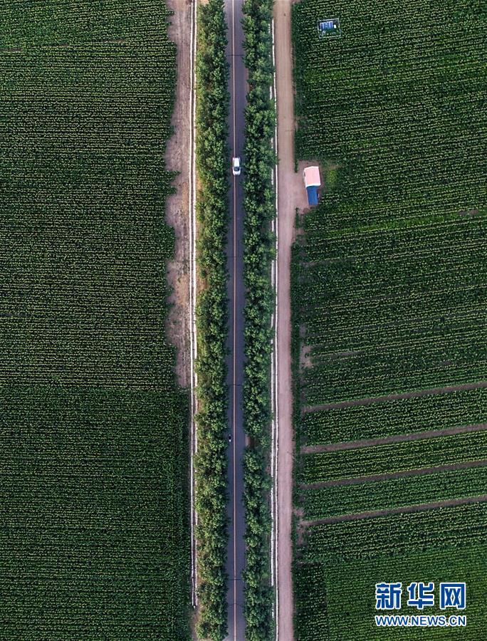 (新華全媒頭條·圖文互動(dòng))(3)為現(xiàn)代農(nóng)業(yè)探新路——來自吉林梨樹的田野報(bào)告