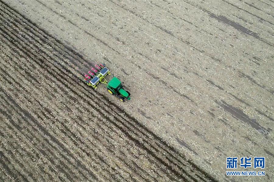 (新華全媒頭條·圖文互動(dòng))(11)為現(xiàn)代農(nóng)業(yè)探新路——來自吉林梨樹的田野報(bào)告