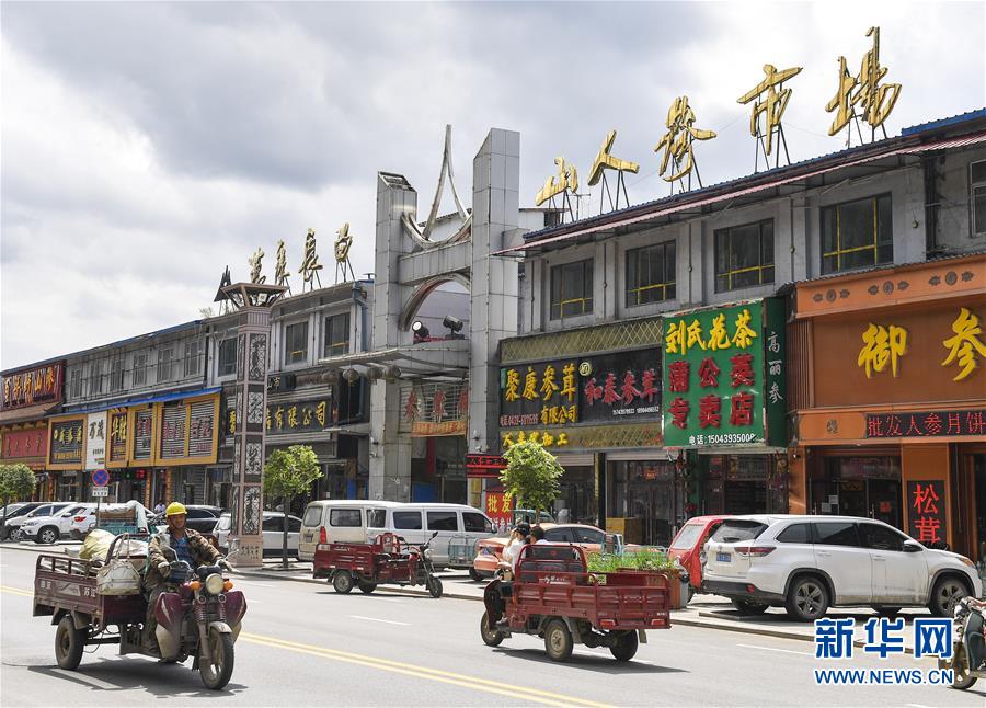 （走向我們的小康生活）（12）人參產業助民增收