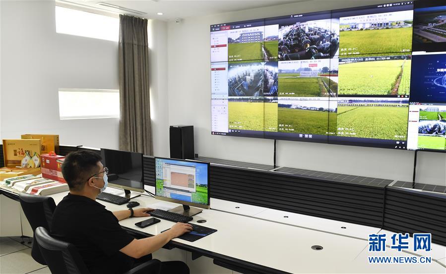 （新華全媒頭條·走向我們的小康生活·圖文互動）（4）黑土地上是我家——在吉林，一瞥中國東北鄉村美麗未來