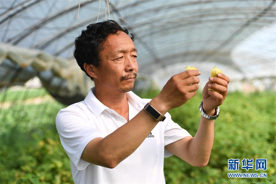 （新華全媒頭條·走向我們的小康生活·圖文互動）（7）黑土地上是我家——在吉林，一瞥中國東北鄉村美麗未來