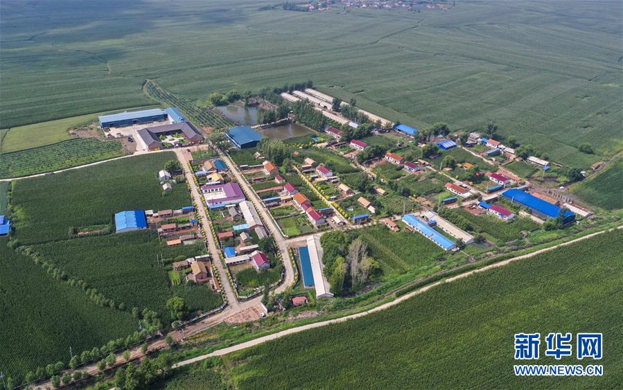 （新華全媒頭條·走向我們的小康生活·圖文互動）（12）黑土地上是我家——在吉林，一瞥中國東北鄉村美麗未來