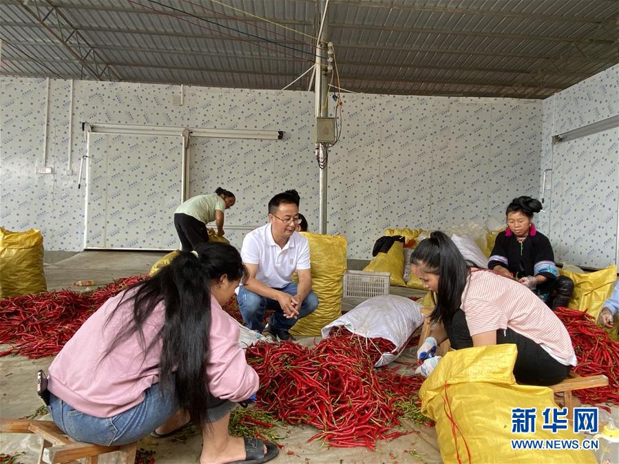 （新華全媒頭條·決戰決勝脫貧攻堅·督戰未摘帽貧困縣·圖文互動）（6）把“最能打的人”放在最需要的地方——聚焦貴州未脫貧縣里的“助攻干部”