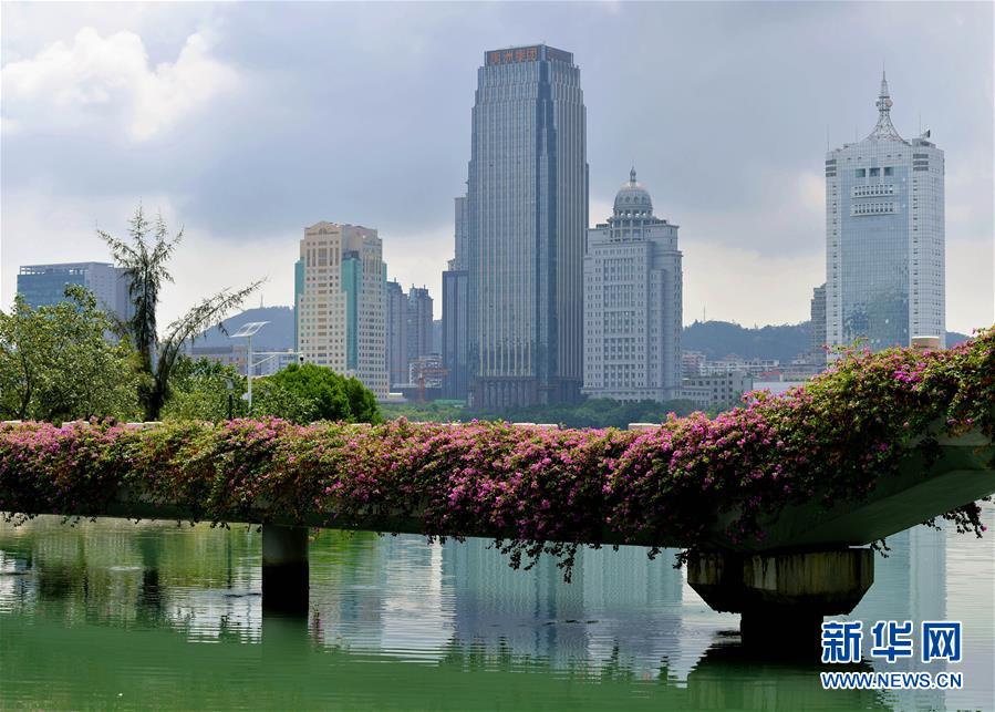 (特區40年?圖文互動)(7)廈庇五洲客 門納萬頃濤——廈門經濟特區40年發展紀實