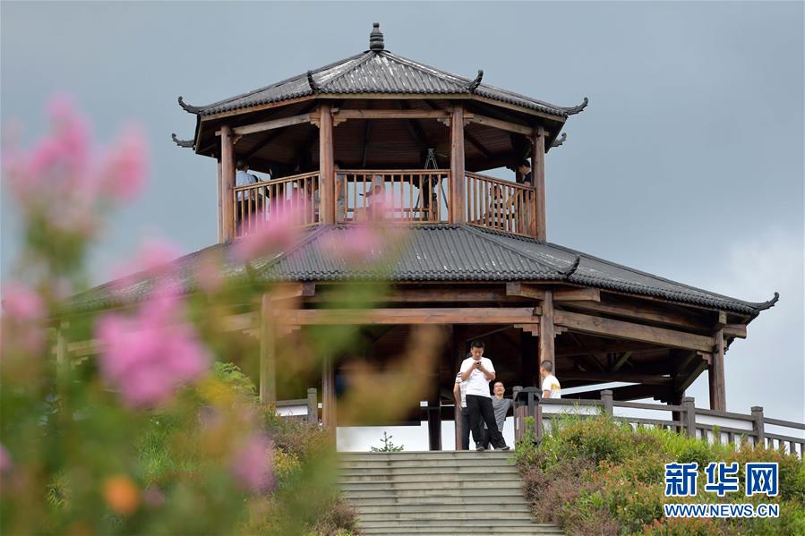 (走向我們的小康生活·圖文互動)(4)從廢棄礦山到生態“福地”——江西尋烏戰荒記