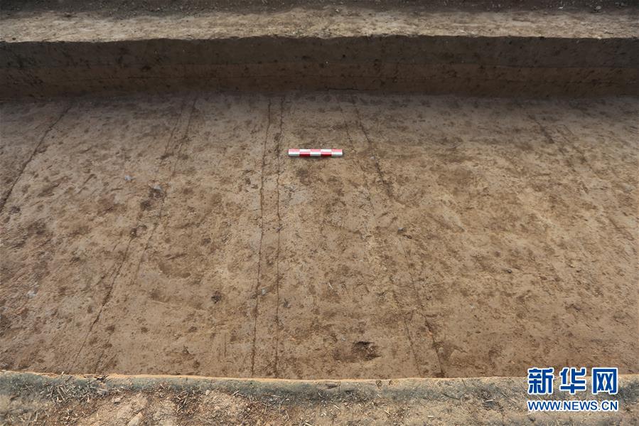 (圖文互動)(2)漢魏洛陽城東西向大道重現天日 見證500多年間王朝更迭